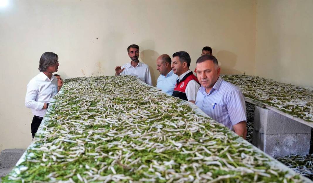 Yeni bir gelir kapısı: 50 günde binlerce lira kazanma fırsatı! Devletten alım garantisi var 10